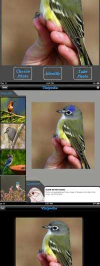 Computer scientists develop an interactive field guide app for birders