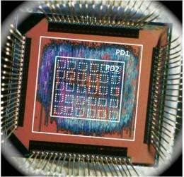 Computing experts unveil superefficient 'inexact' chip
