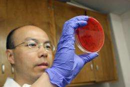 Copper kills harmful bacteria, UA researchers find