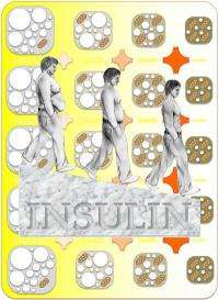 Could high insulin make you fat? Mouse study says yes