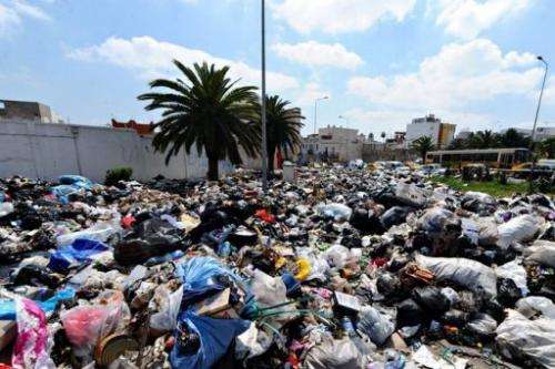Cyber-environmentalists said they aim to mobilise millions of people around the world for a mass waste clean-up