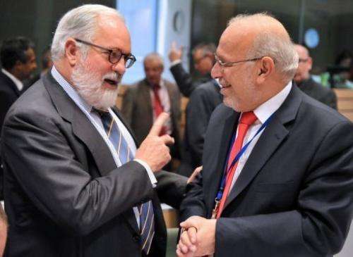 Cyprius Agriculture Minister Sofoclis Aletraris (R) speaks to his Spanish counterpart in Brussels on December 18, 2012