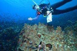 Darwin discovered to be right: Eastern Pacific barrier is virtually impassable by coral species