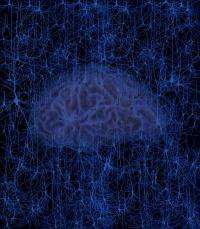 Data mining opens the door to predictive neuroscience