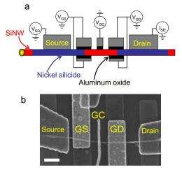 Physics team devises a way to make first undoped silicon nanowire gate