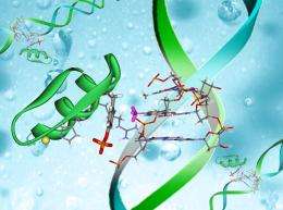 Decoding DNA’s annotations