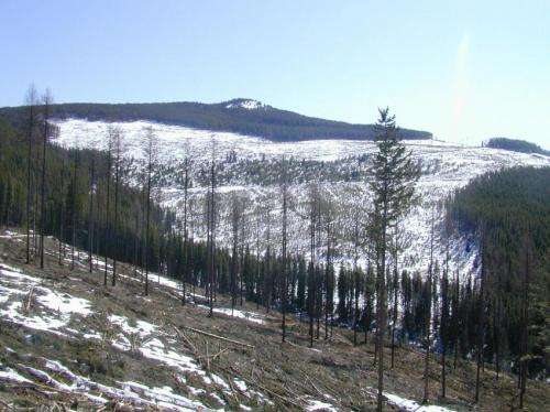 Deforestation in snowy regions causes more floods