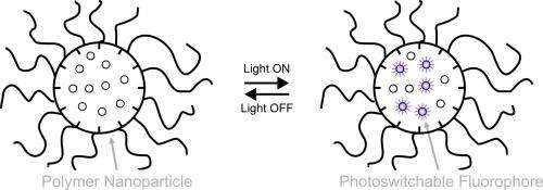 Designing tiny molecules that glow in water to shed light on biological processes