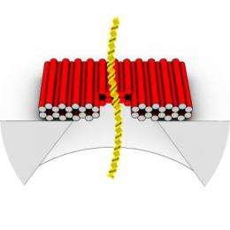 DNA origami puts a smart lid on solid-state nanopore sensors
