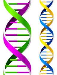 DNA type polymer for nanoelectronics