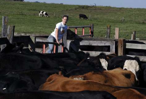 Drought creating waves of uncertainty for livestock producers