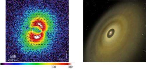 Dust grains highlight the path to planet formation