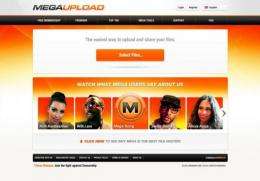 Dutch police have arrested an Estonian man in connection with the Megaupload case into massive online piracy