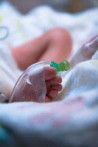 Early milk feeds best for vulnerable premature babies