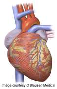 Early prophylactic tx beneficial for hypertrophic cardiomyopathy