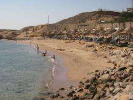 Egypt's Sharm el-Sheikh recorded shark attacks in 2010