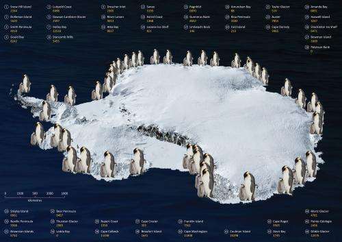 Counting penguins from space