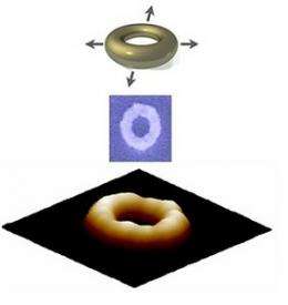 Energy dissipation from vibrating gold nanoparticle strongly influenced by surrounding environment