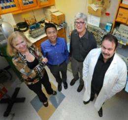 Enzymes may point toward better therapies for prediabetes
