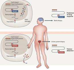 Epigenetics emerges powerfully as a clinical tool