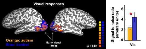 Autistic adults have unreliable neural responses, Carnegie Mellon-led research team finds