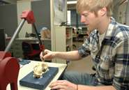 Establishing optic nerve positions in extinct animals could provide behavioral insights