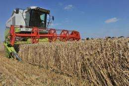 European cereal production is forecast to be down just 2.2 percent from last year