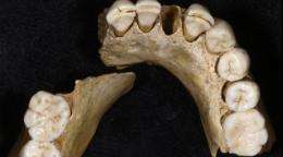 European neanderthals were on the verge of extinction even before the arrival of modern humans: study