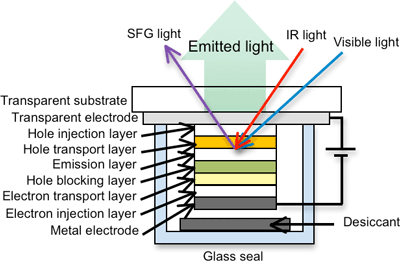 Evaluating molecules within a sealed organic light emitting diode device