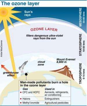 Factfile on the ozone layer