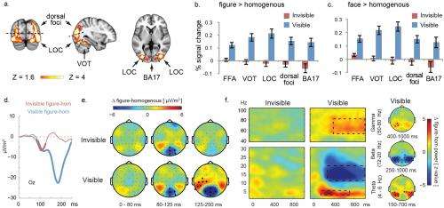 Face the facts: Neural integration transforms unconscious face detection into conscious face perception