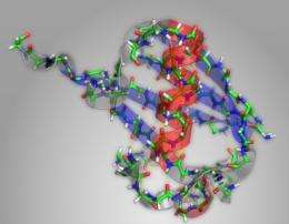 Faster way to probe proteins