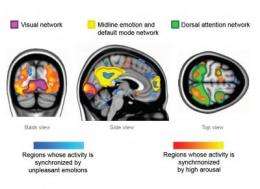 Feeling strong emotions makes peoples' brains 'tick together'