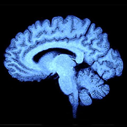 'Fingerprinting' breakthrough offers improved brain tumour diagnosis