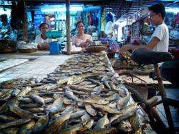 Fish on sale in the Philippines. where about 400 fish-farmers are to use "tobacco dust" to kill predators