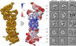Making a molecular micromap: Imaging the yeast 26S proteasome at near-atomic resolution