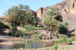 For centuries the sharing out of water in the oasis was managed in the "khattara" tradition