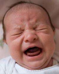 搞什么名堂!:婴儿哭声得到快速的响应