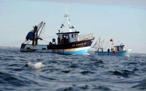 French fishermen fish for scallops off Quiberon, western France, on October 30, 2012