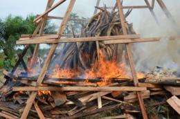 Gabonese President Ali Bongo on Wednesday set fire to five tonnes of ivory worth millions of euros