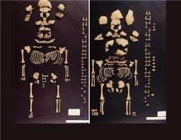 The first Prehistoric Iberian twins have been found