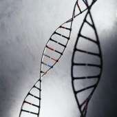 基于基因的试验识别预后差的结肠癌