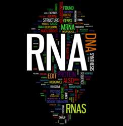 Gene regulation through non-coding RNAs