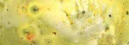 Geologic map of Jupiter's moon Io details an otherworldly volcanic surface