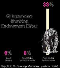 Research shows endowment effect in chimpanzees can be turned on and off