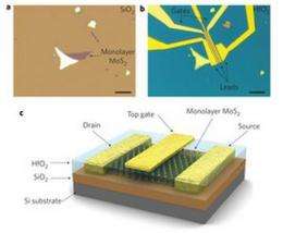 Researchers find molybdenite may be better suited for integrated logic circuits than graphene