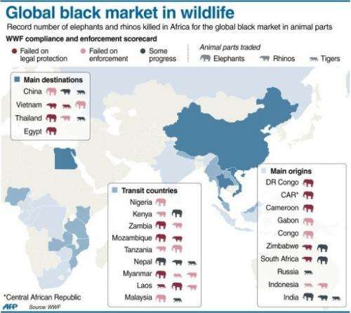 Global black market in wildlife