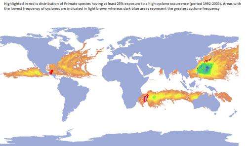 Disaster map predicts bleak future for mammals