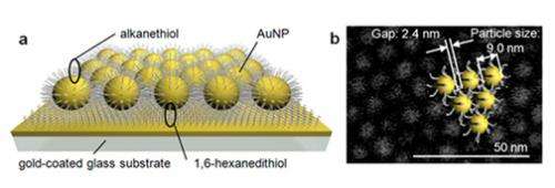 Gold nanoparticle catalyst that learns from enzyme in nature