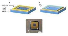 Dopant gives graphene solar cells highest efficiency yet